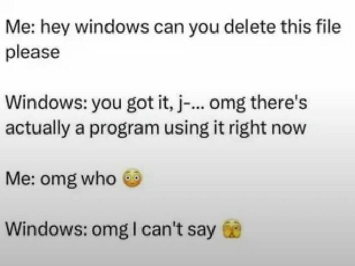 Funny meme about Windows refusing to delete a file because a secret program is using it, featuring emojis.