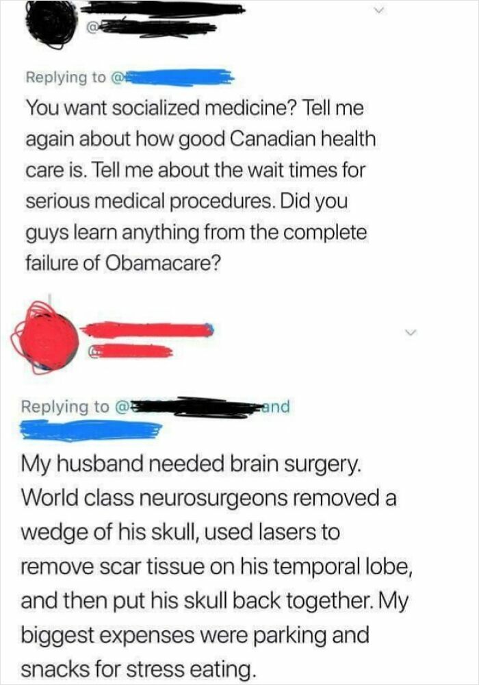 Screenshot of a social media debate highlighting Canadian healthcare in 51 times Canada roasted America posts.