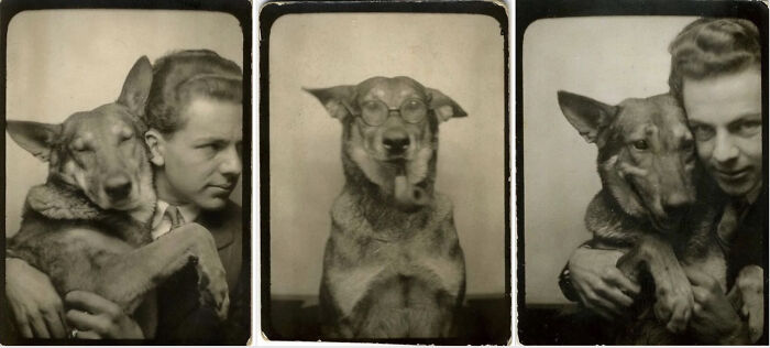 Three unique historical photos showing a man with a dog, including a portrait of the dog wearing glasses.