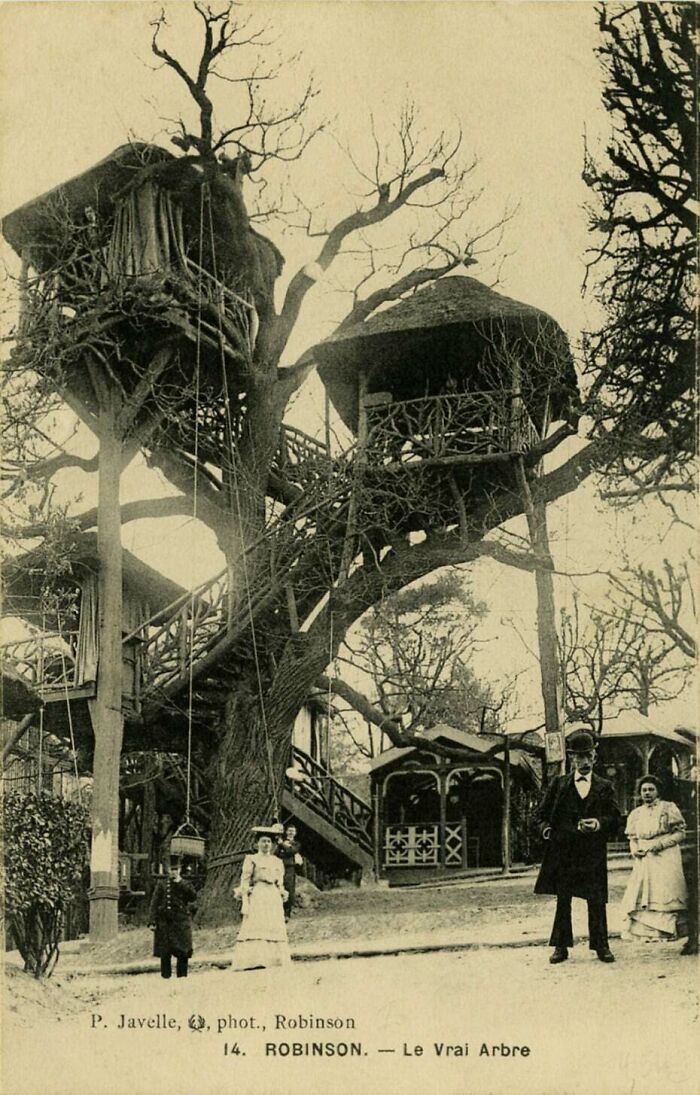 Vintage historical photo of an elaborate multi-level treehouse with people dressed in early 1900s attire nearby