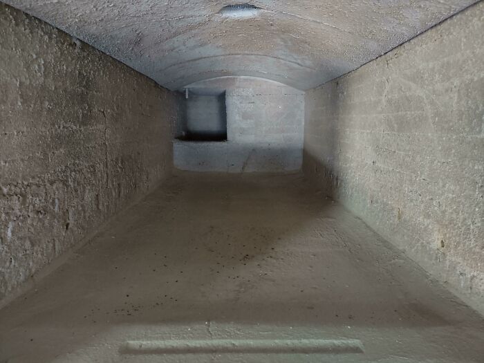 Inside view of a narrow, empty tunnel showing the hidden insides of an unusual object or structure.