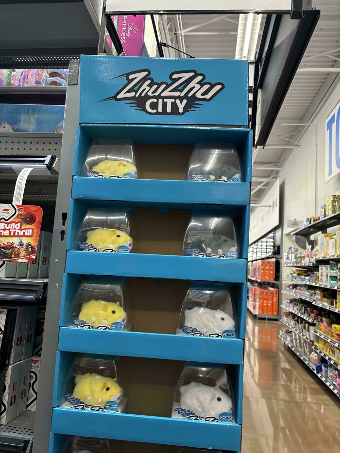 Display of ZhuZhu City toys on shelves in a retail store during busy Black Friday shopping event.