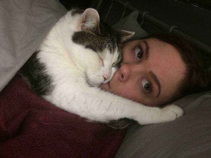 Person lying in bed with a cat cuddling closely, illustrating pet ownership and loss of personal space moments.