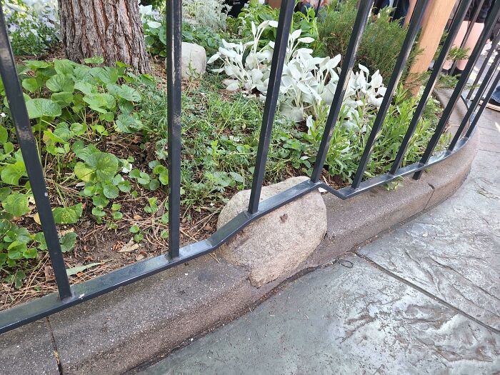 Metal fence bent around a rock in a garden, a funny example of people not even trying in construction work.
