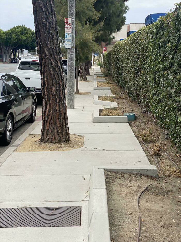 Sidewalk with uneven concrete cuts around trees and roadwork, illustrating people not even trying in job e*******n.