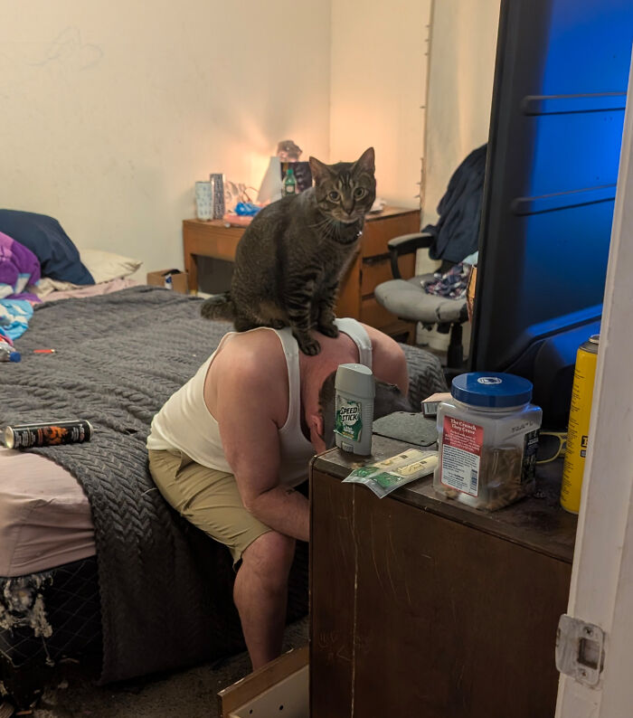 A person sitting on a bed with a cat perched on their back, showing the loss of personal space with pets.