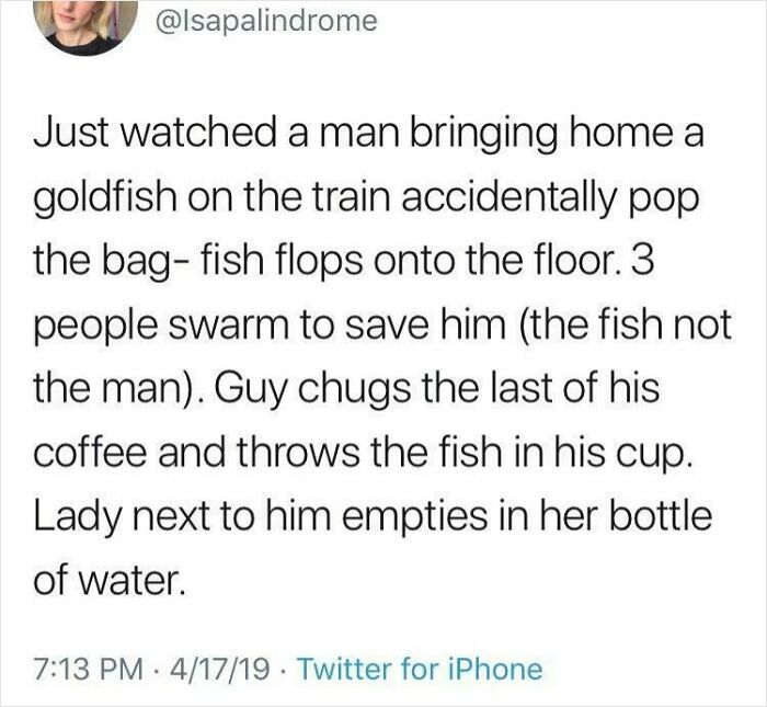 Tweet describing strangers showing kindness by saving a goldfish that fell on a train floor, restoring faith in humanity.