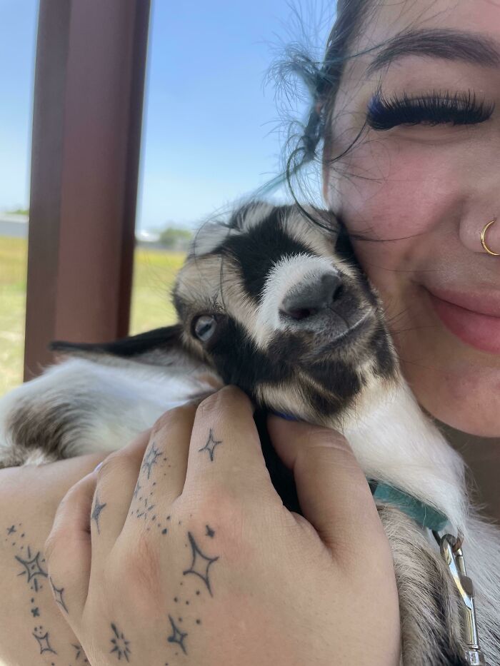 Young goat posing for a selfie with a smiling person showing star tattoos on their hand outdoors on a bright day.