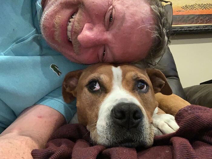 Man and dog lying closely together taking a selfie, showcasing animals who can take a better selfie than you.