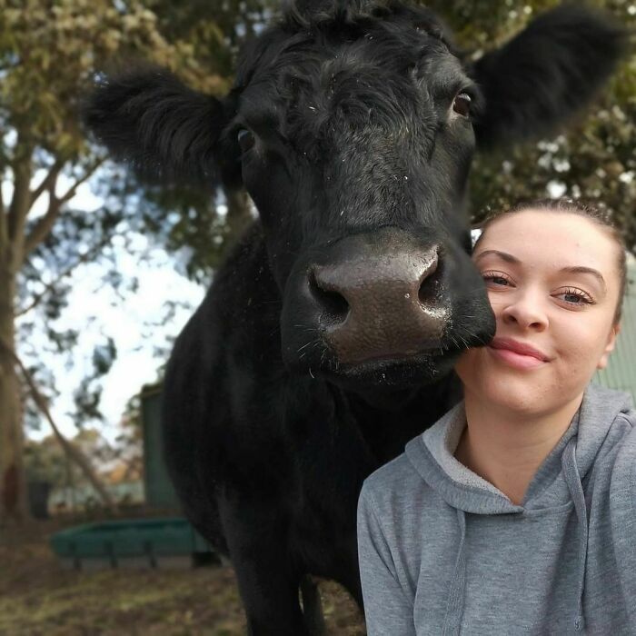 A woman taking a selfie with a black cow outdoors, showcasing animals who can take a better selfie than you.