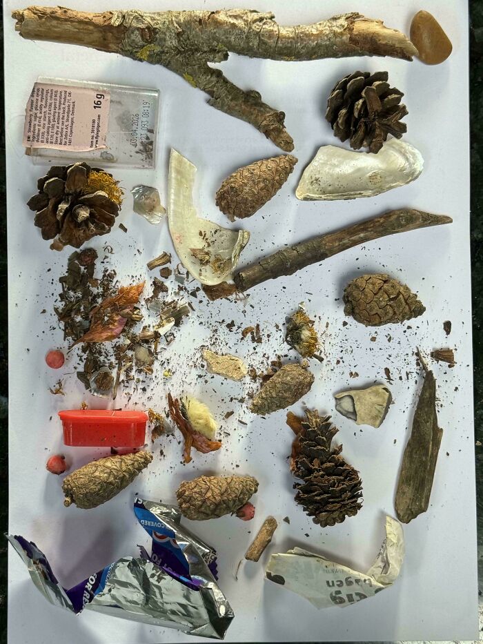 Various natural and man-made objects neatly arranged on white surface, illustrating knolled organization concept.