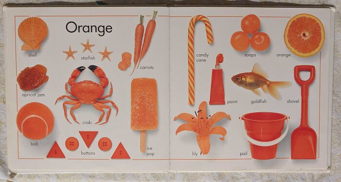 Neatly arranged orange objects including crab, carrot, lily, and shovel showcasing visual order and balance.