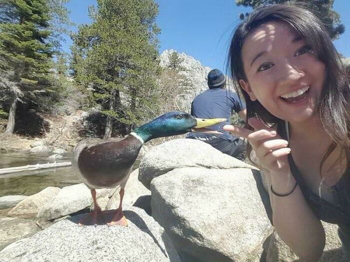 A woman smiling and pointing at a duck perched on rocks by a river, capturing a frozen frame moment.