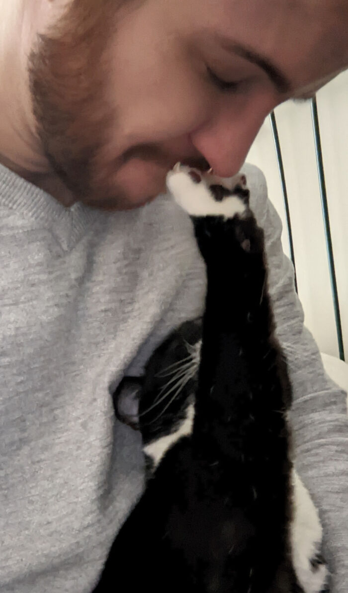 Man and black and white cat sharing a tender moment, a frozen frame capturing affection without showing the aftermath.