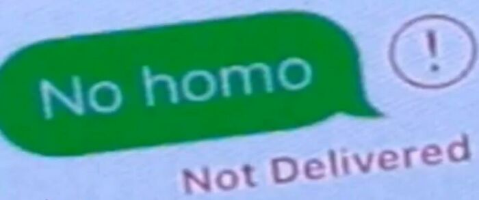 Text message bubble in green with phrase no homo and a not delivered status showing frozen frames concept.