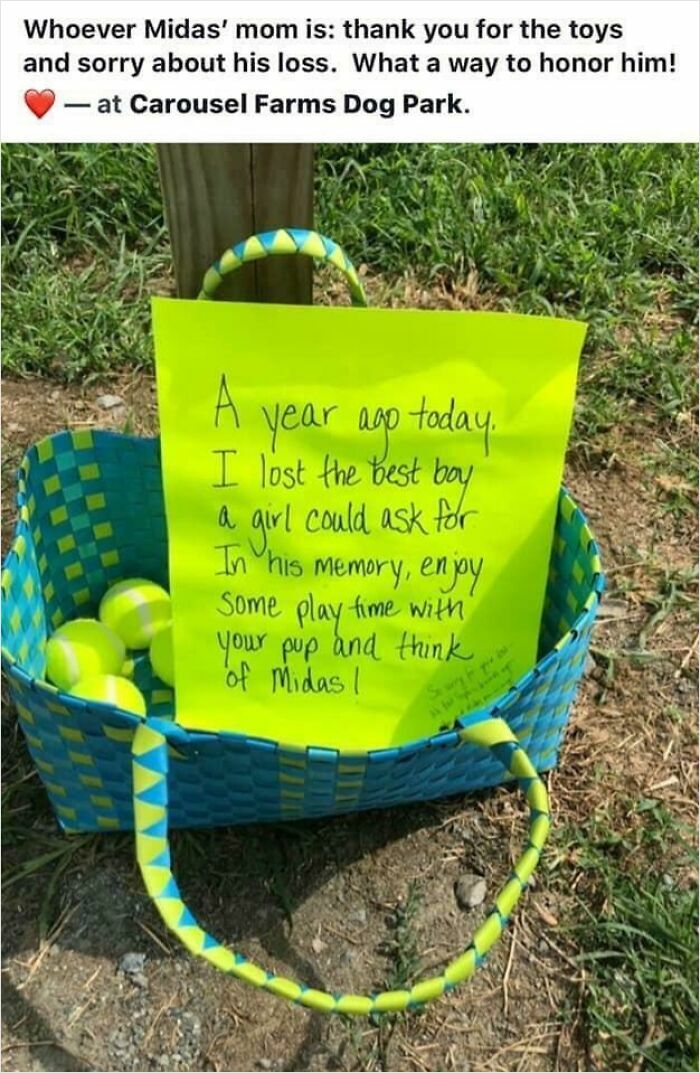 Basket with tennis balls and a note honoring a lost dog, showing faith in humanity restored through kindness.
