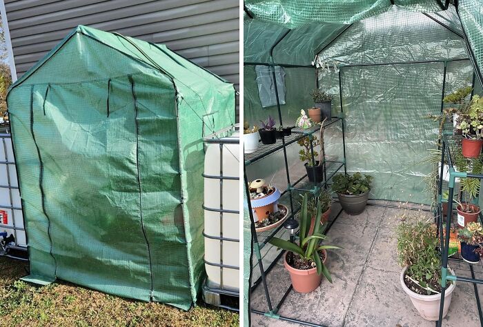 Green portable garden greenhouse with potted plants inside, preparing garden for the first freeze season.