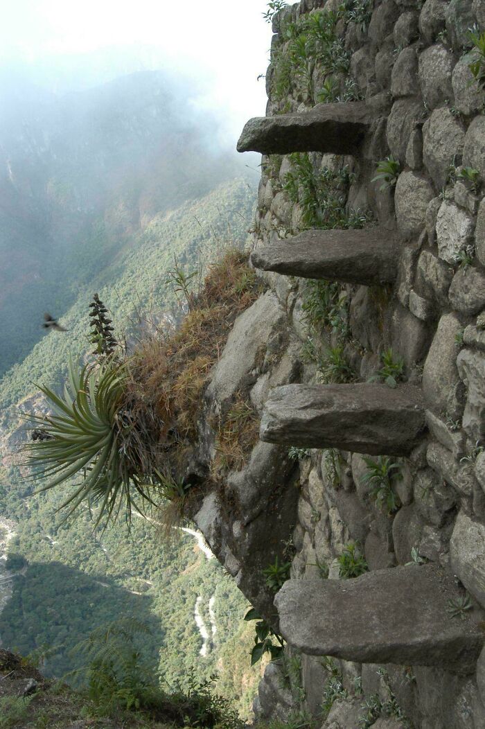 Steep stone stairs jutting from a cliffside surrounded by greenery, illustrating extreme Airbnb stairs requiring insurance.
