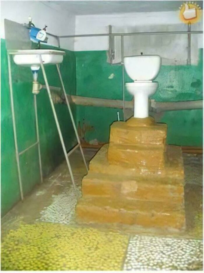 Toilet installed on a steep set of stairs indoors with a sink nearby and green painted walls in a rustic bathroom setting.