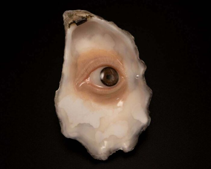 Surreal creative project showing a realistic human eye embedded in an oyster shell against a black background.