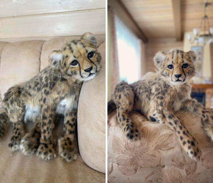 Realistic cheetah sculpture on couch, showcasing creative people and their cool projects with lifelike animal art.