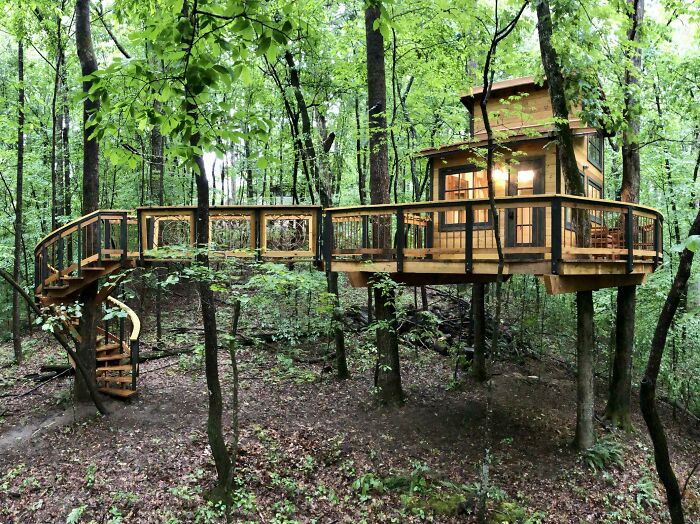Creative people’s cool treehouse project elevated among green forest trees with warm lights glowing inside at dusk.