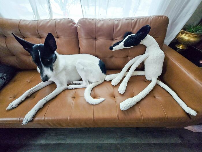 A creative person’s cool crochet project of a dog sitting next to a real dog on a brown leather couch.