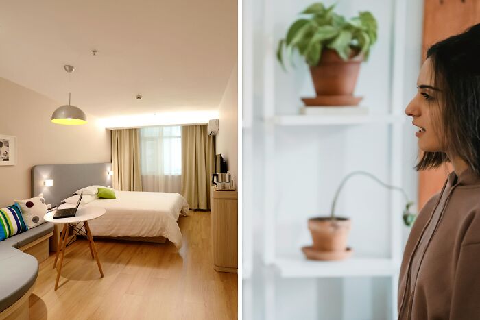 Modern bedroom interior on left and woman looking at plants on right, illustrating annoying life choices in 50-50 poll.