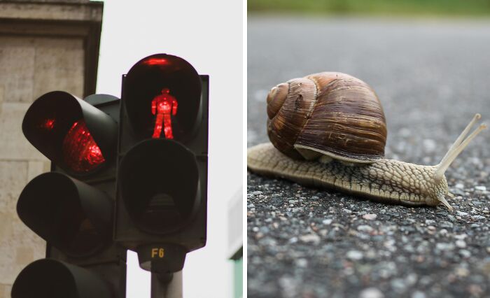 Split image showing a red pedestrian traffic light and a slow-moving snail on pavement representing annoying life choices.
