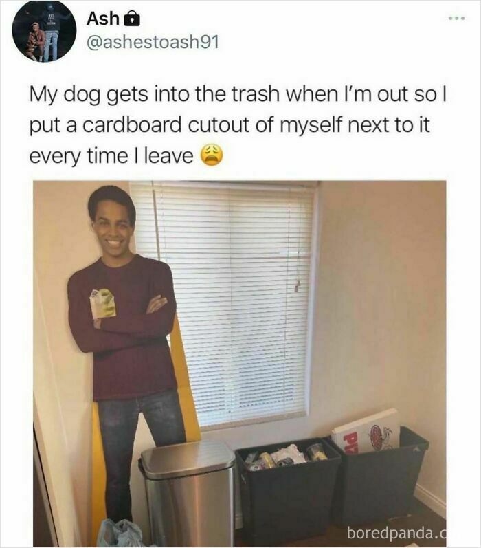 Funny meme showing a cardboard cutout used to stop dog from getting into trash, perfect for scrolling laughs and memes.