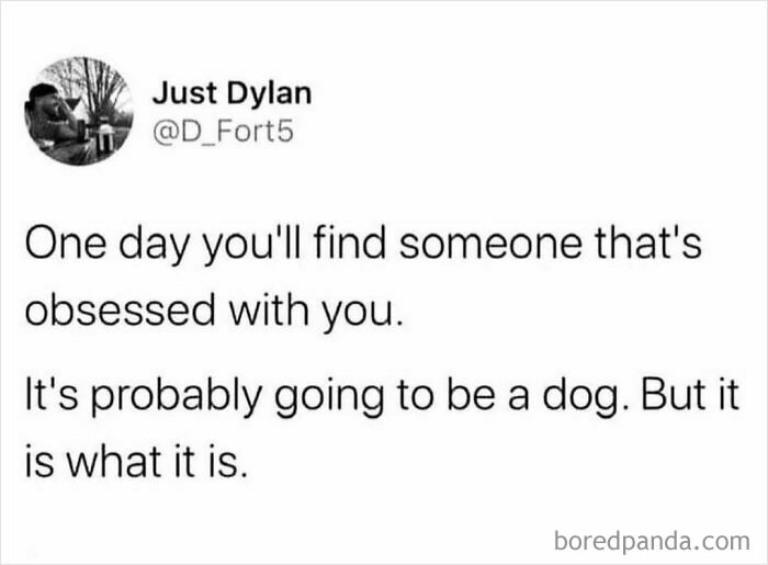 Funny meme text about finding someone obsessed with you, likely a dog, humorously highlighting scroll-worthy content of funny memes.