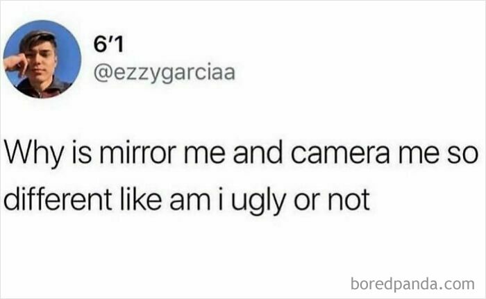Funny meme text about the difference between mirror self and camera self, highlighting relatable humor for meme scrollers.