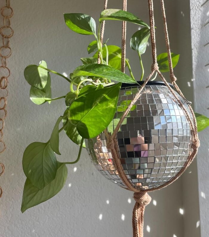 Hanging plant holder with a reflective disco ball design, a unique find for people who are impossible to shop for.