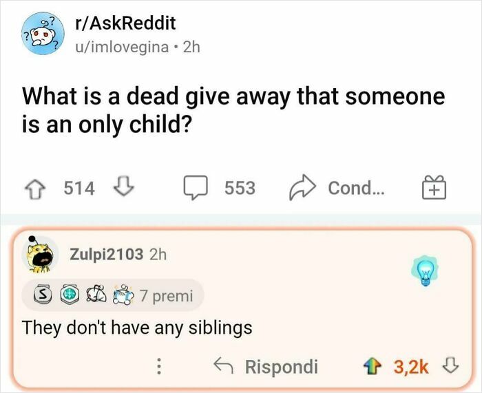 Reddit post humor with a user answering exactly what they were asked about being an only child.