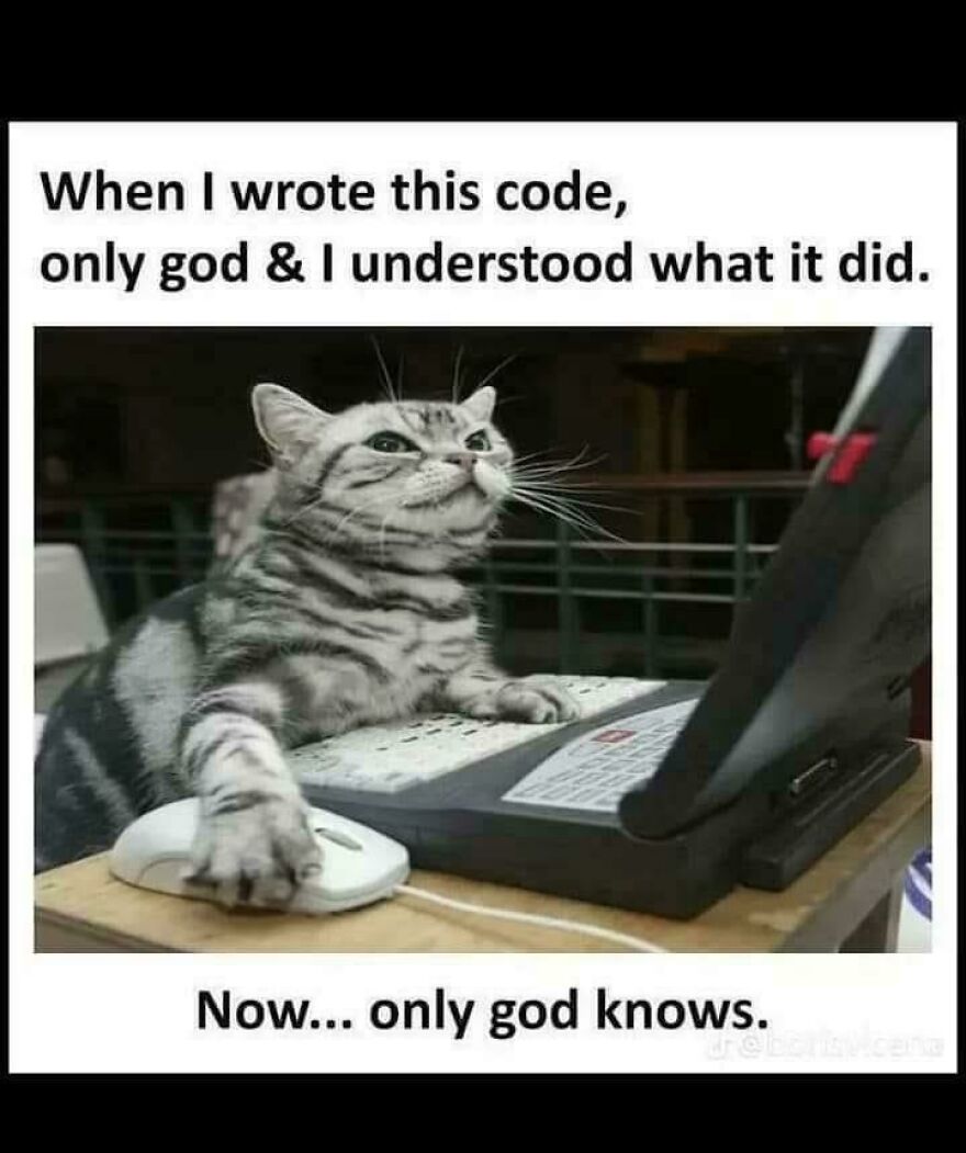 Cat using a laptop and mouse, illustrating the universal struggle of debugging in programming humor.
