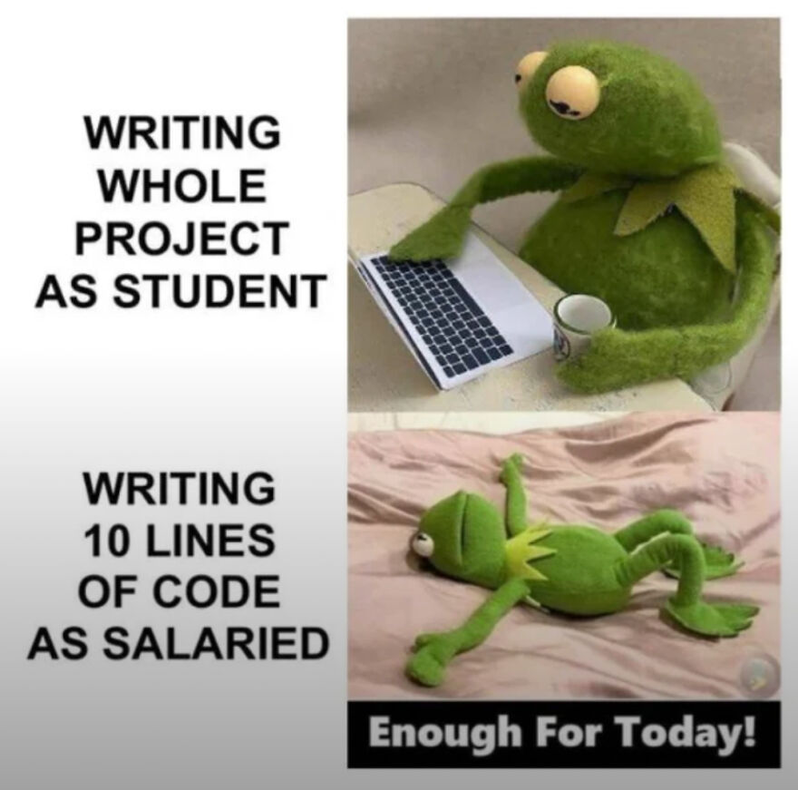 Kermit the Frog meme showing the struggle of writing code as a student versus as a salaried programmer in programming memes.