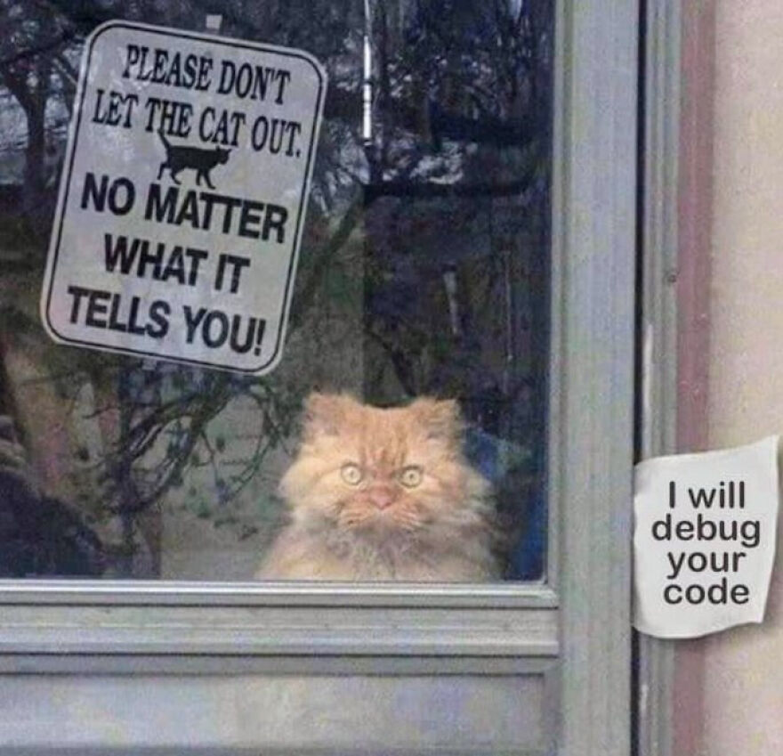Fluffy cat behind glass with signs warning not to let cat out and a note saying I will debug your code, programming meme.