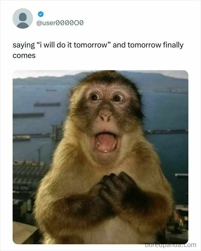 Relatable student meme showing surprised monkey, capturing the feeling of procrastination and student life struggles.