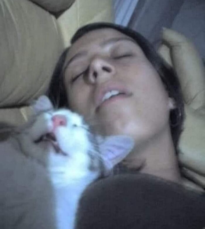 A funny animal sleeping next to a person, capturing a moment of animals who woke up and chose nonsense.