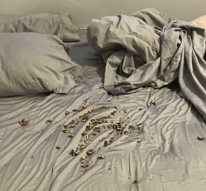 Bed with gray sheets and pillows stained with crushed chocolate on the surface showing family infuriated moments shared online