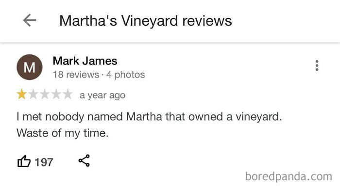 One-star review humor on Martha's Vineyard with a funny and ridiculous 1-star business rating.