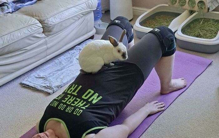 Person doing yoga on a mat with a pet rabbit sitting on their back, showing loss of personal space with pets.