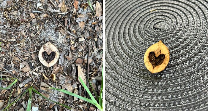 Close-up images showing the inside of an object with a heart-shaped pattern, revealing unexpected internal details.