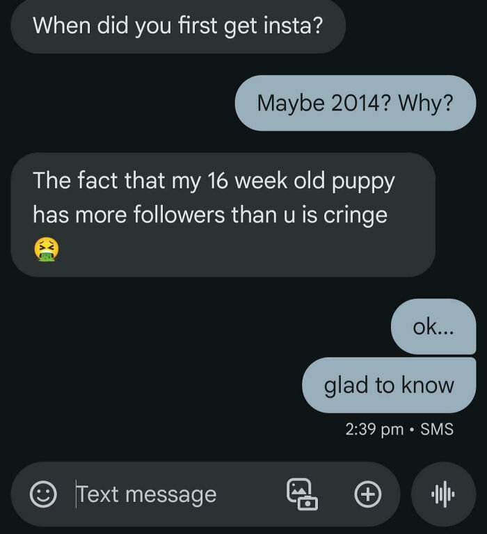 Text message conversation showing family member venting about a puppy having more Instagram followers, causing frustration.