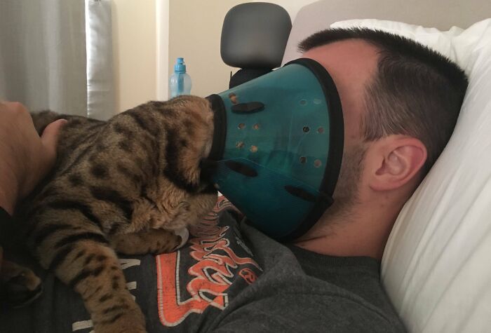 Man lying in bed with a cat wearing a cone on its head covering the man's face showing pet and personal space loss.