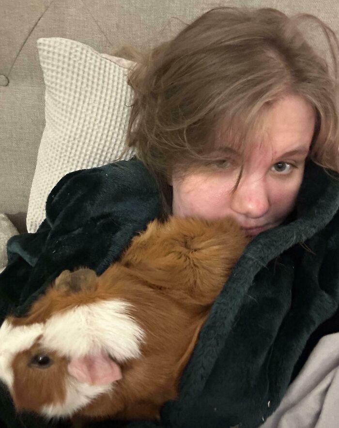 Person wrapped in a blanket with a guinea pig on their chest, showing the challenge of saying goodbye to personal space with pets.