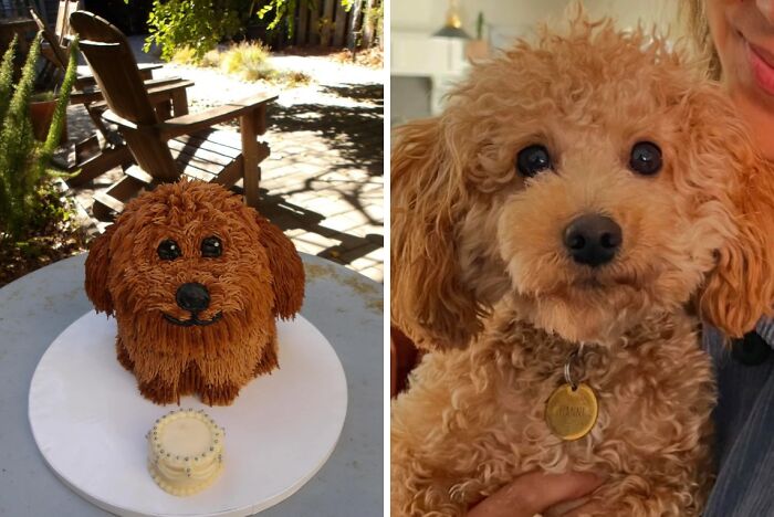 3D dog-shaped cake made with intricate frosting details, showcasing stunning baked goods that look like real pets.