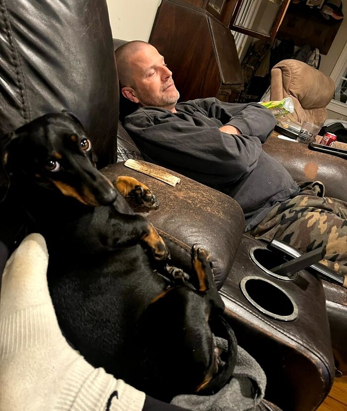 Man napping on couch while his dachshund lies awkwardly on armrest in a cozy living room setting.