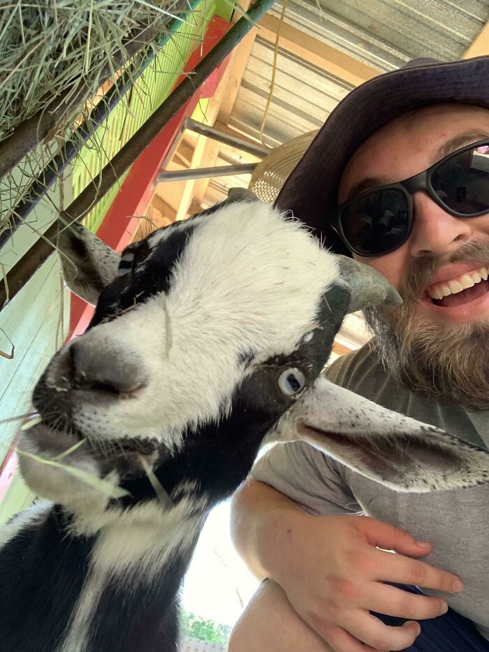 Goat with striking blue eyes taking a selfie with a smiling man wearing sunglasses and a hat indoors.