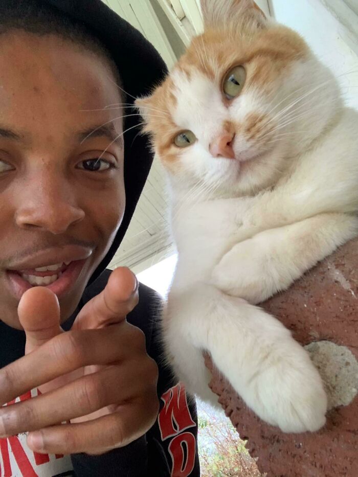 Young person pointing at the camera beside a relaxed orange and white cat, showcasing animals who can take better selfies.